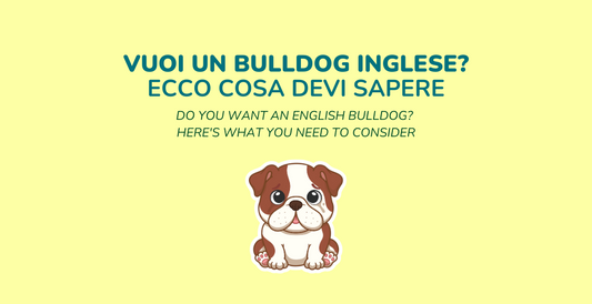 Vuoi un Bulldog Inglese? Ecco Cosa Devi Considerare