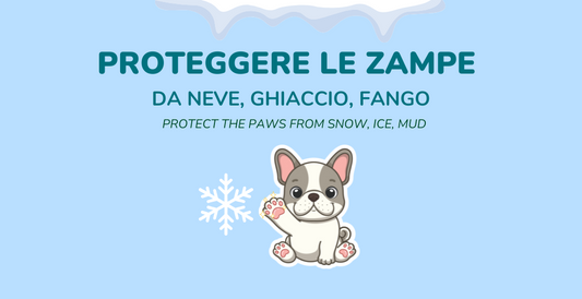 Proteggere le zampe del bulldog dal freddo, ghiaccio e fango