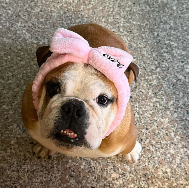 Bullysoft strap