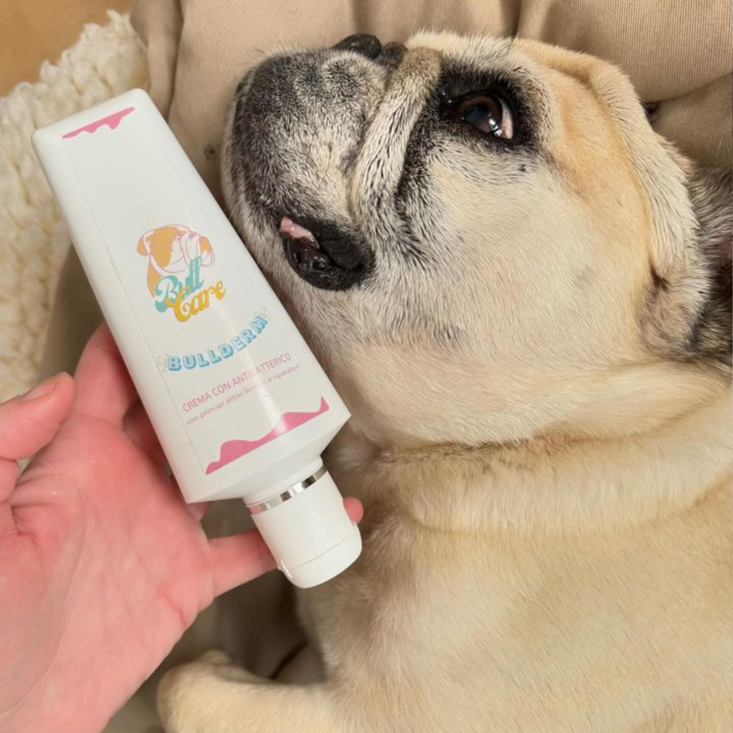 Bullderm - antibacterial cream