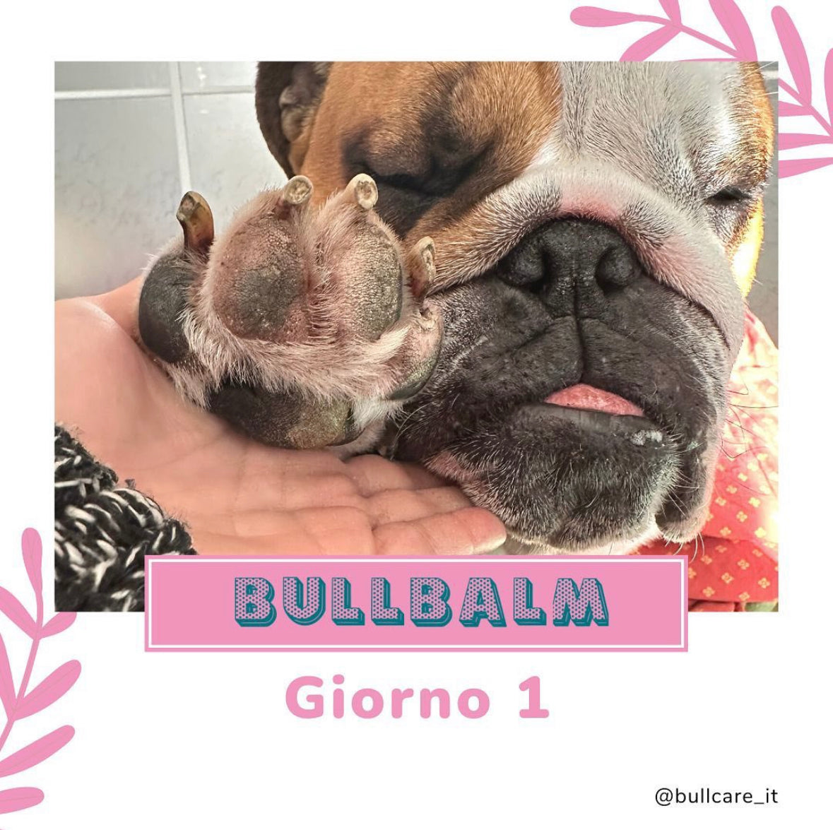 Bullbalm - balsamo zampe