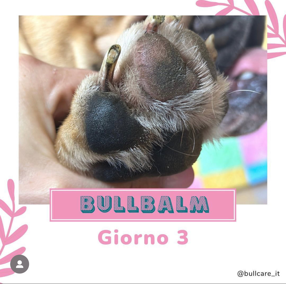 Bullbalm - balsamo zampe