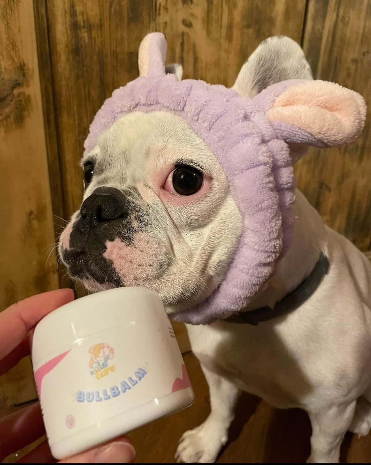 Bullbalm - balsamo zampe cane bulldog francese