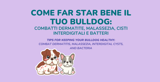 Come far star bene il tuo bulldog: addio dermatite, benvenuto benessere