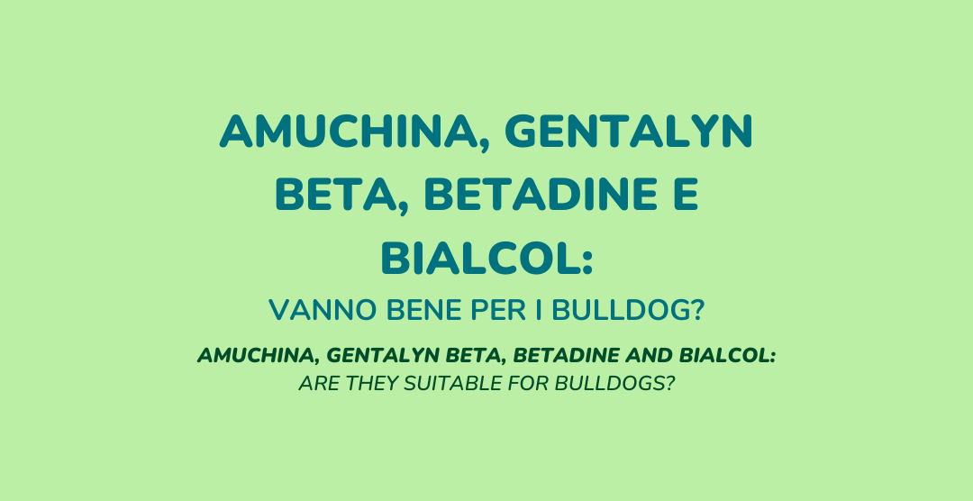 Prodotti sicuri per cani: l'alternativa all'Amuchina