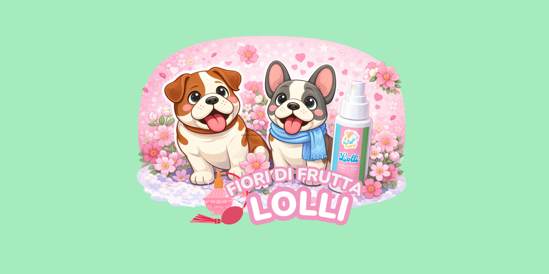 Istruzioni d'uso: Lolli