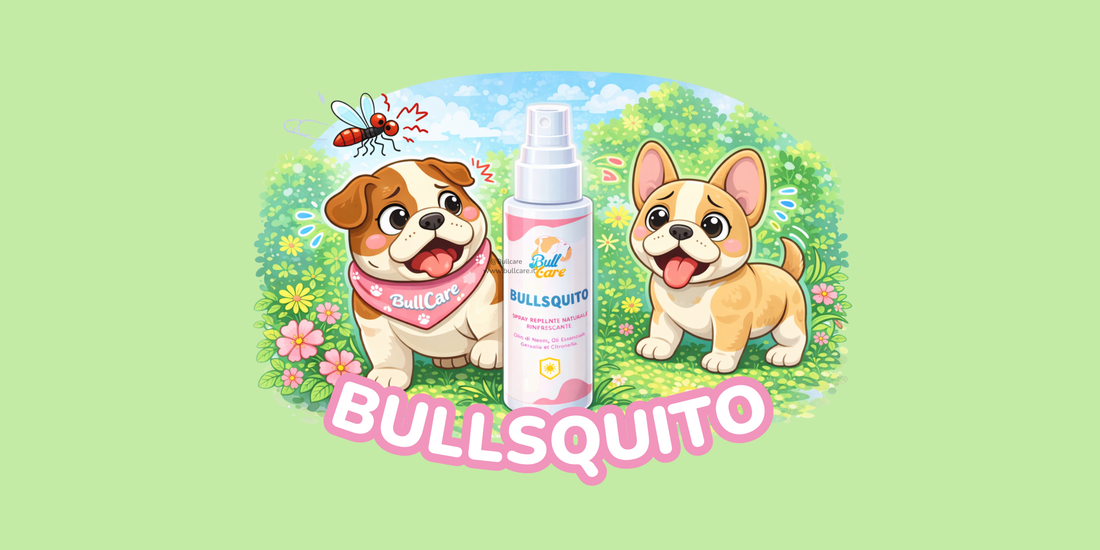 Istruzioni d'uso: Bullsquito