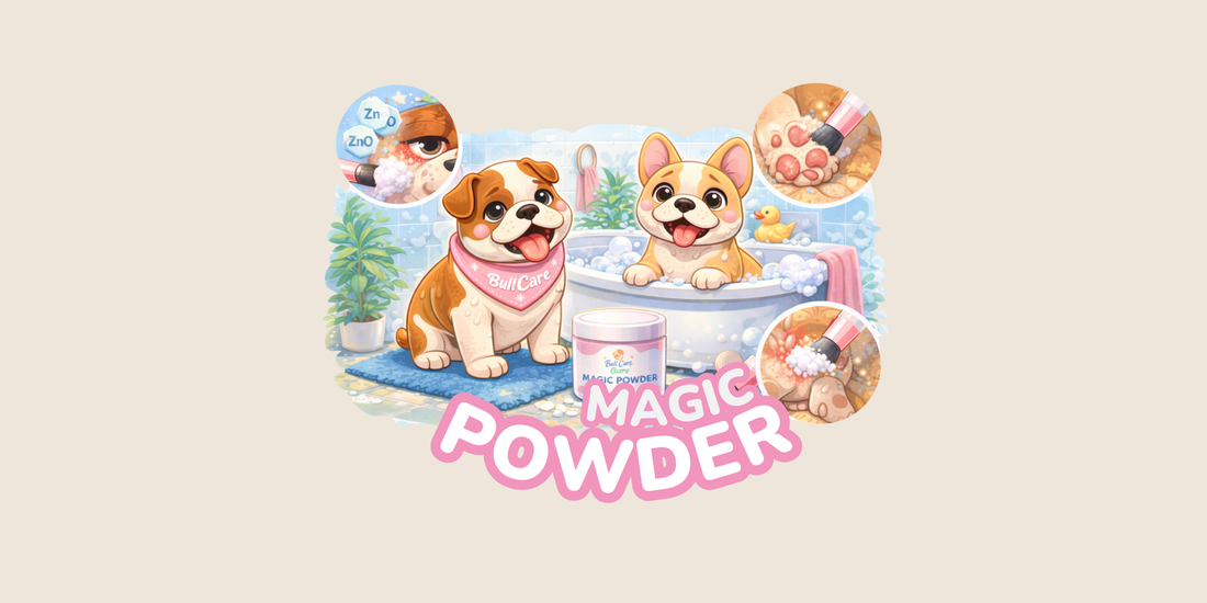 Istruzioni d'uso: Magic Powder