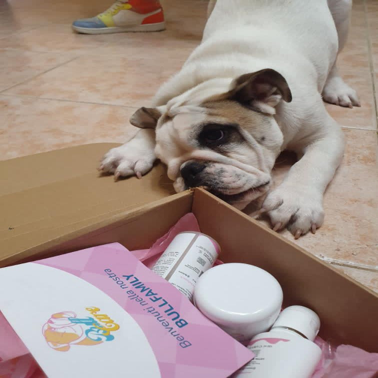 Bullbox prodotti bulldog bullcare