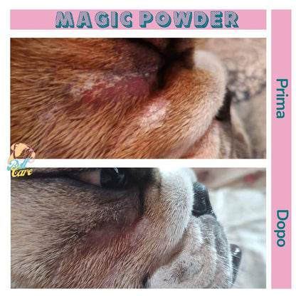 Prima e dopo - Magic Powder - Bullcare - Polvere sbiancante per scoli lacrimali, cisti interdigitali, dermatite - bullcare prodotti per cani bulldog inglese francese